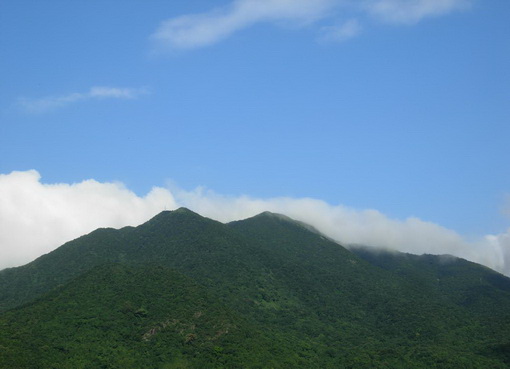 高聳的梧桐山.jpg 高聳的梧桐山.jpg